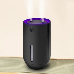 Makukulay na ilaw dalawahan spray humidifier