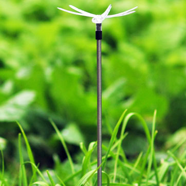 Liwanag ng Solar Dragonfly Stick